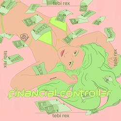 Financial Controller