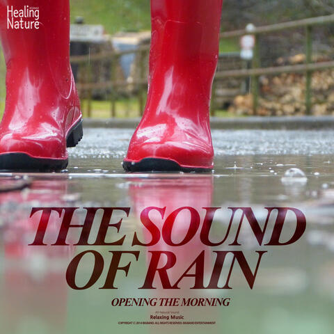 아침을 여는 빗소리 The sound of rain opening the morning