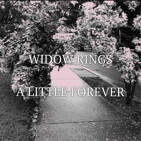 A Little Forever