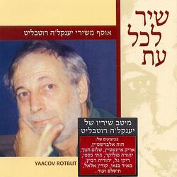 ספינת השוטים