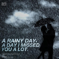 여름을 알리는 빗소리 The sound of rain signaling summer