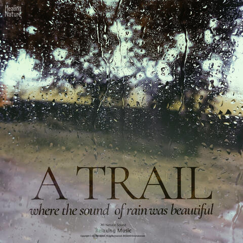 빗소리가 아름답던 오솔길 A trail where the sound of rain was beautiful