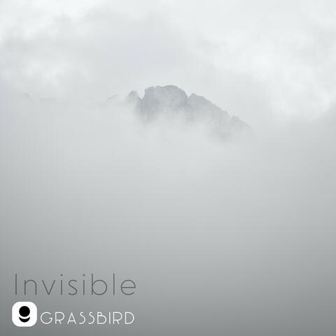 invisible
