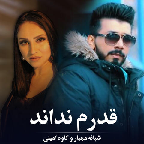 قدرم نداند