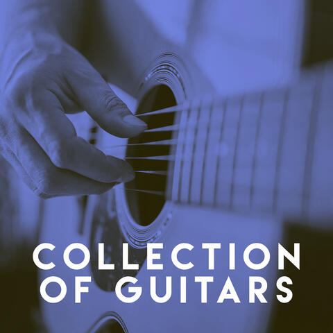 Collection of Guitars