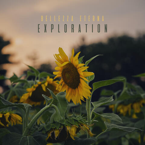 Exploration