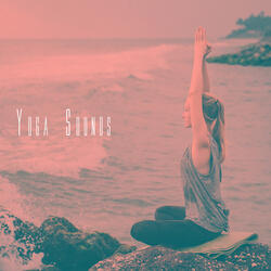 Meditation: Shades of Chakra