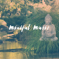 Meditation: Oasis Garden
