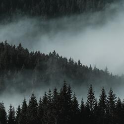 White Noise Rain for Sleep