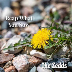Reap What You Sow