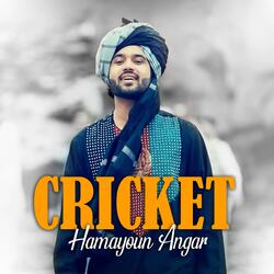 Cricket