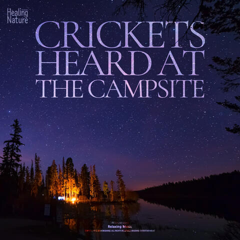 캠핑장에서 듣는 귀뚜라미 소리 Crickets heard at the campsite