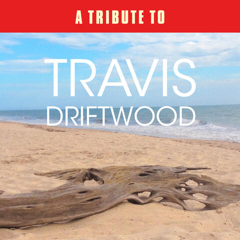 A Tribute to Travis Driftwood
