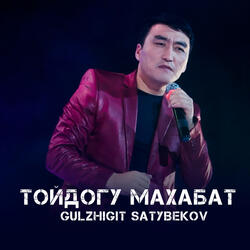 Тойдогу махабат