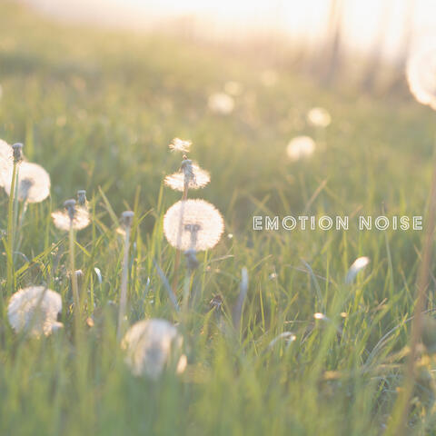 Emotion Noise
