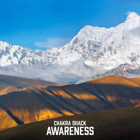 Awareness