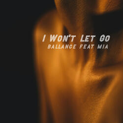 I Won't Let Go