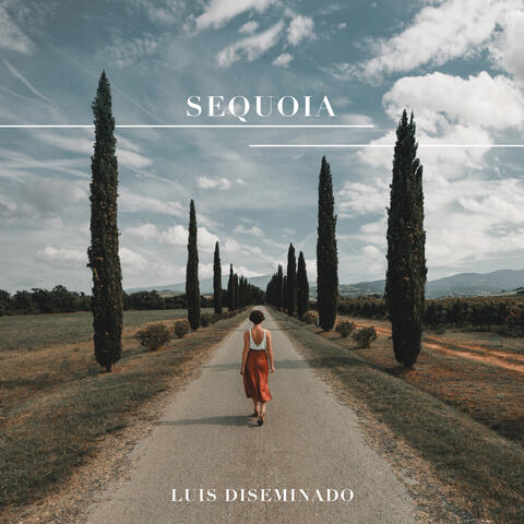 Sequoia