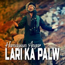 Lari Ka Palw