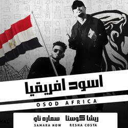 اسود افريقيا