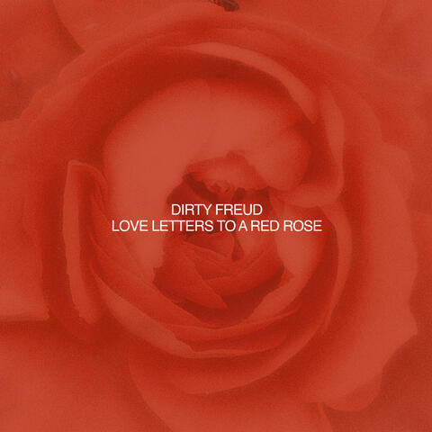 Love Letters To A Red Rose