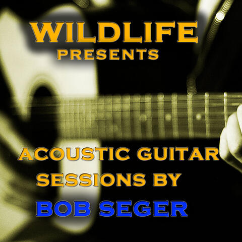Acoustic Guitar Melodies: Bob Seger