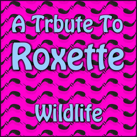 A Tribute To Roxette