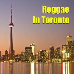 Dem Seek Natty Everywhere