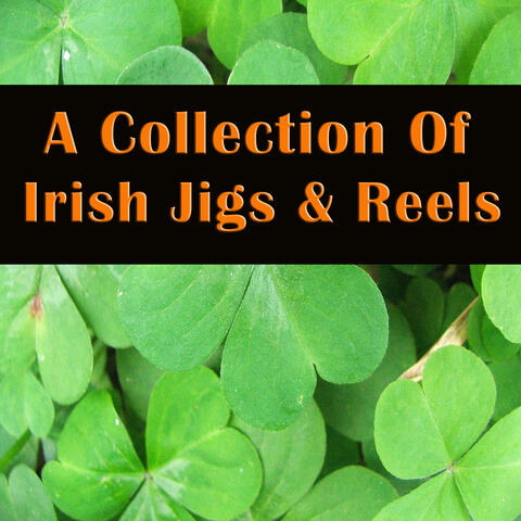 A Collection of Irish Jigs & Reels