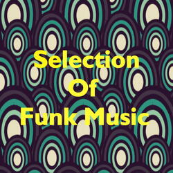 P.Funk Wants To Get Funked Up