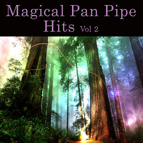 Magical Pan Pipe Hits Vol. 3