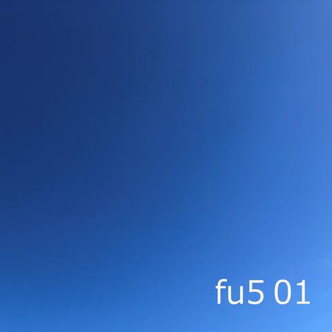 Fu5 No1