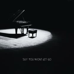 Say You Wont Let Go