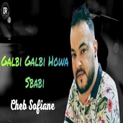 Galbi Galbi Howa Sbabi