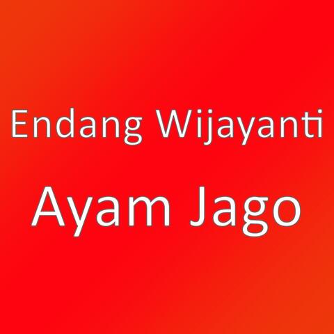 Ayam Jago