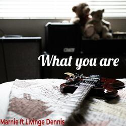 What You Are