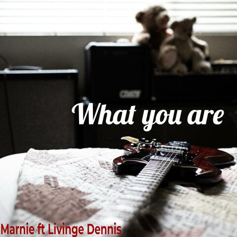 What You Are