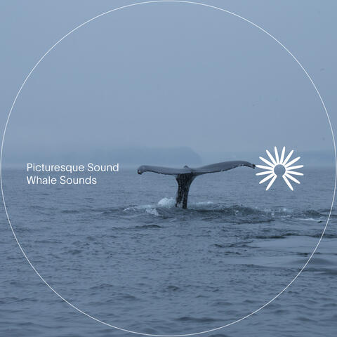 Whale Sounds