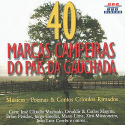 Touro Fumaça