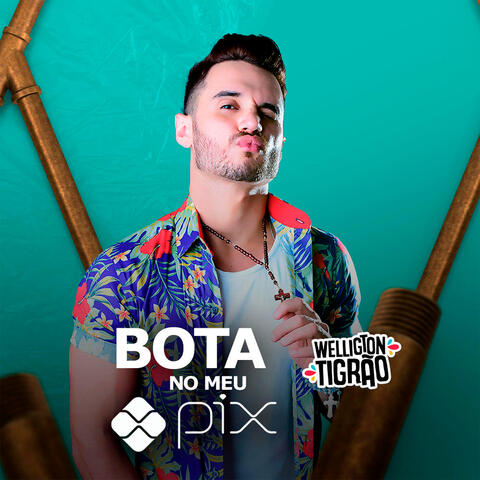 Bota no meu Pix