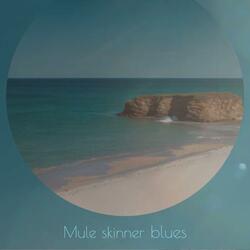 Mule skinner blues