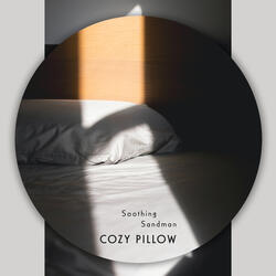 Cozy Pillow
