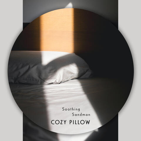 Cozy Pillow