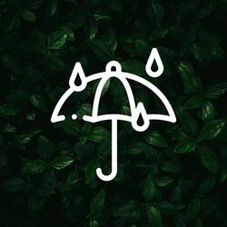 Dripping Rain