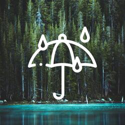 Soft Rain in Forest
