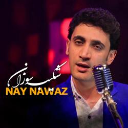 Nay Nawaz