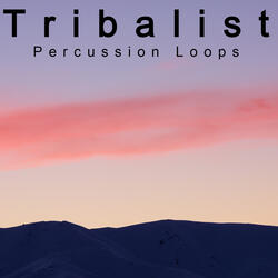 Percussion Loops