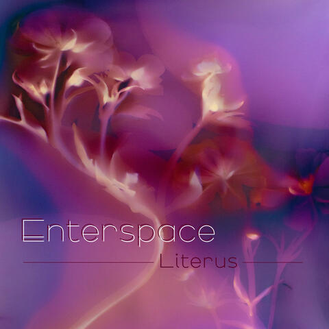 Enterspace