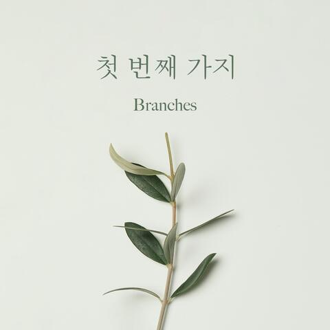 First branch