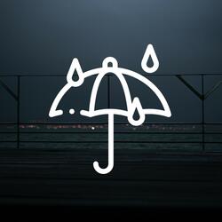 Rain Sounds of Rainforest